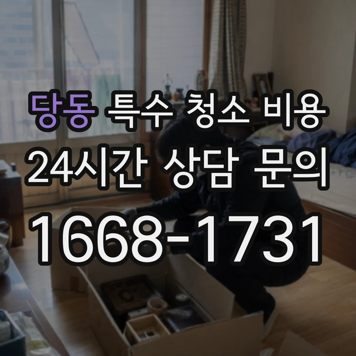당동 특수 청소 비용