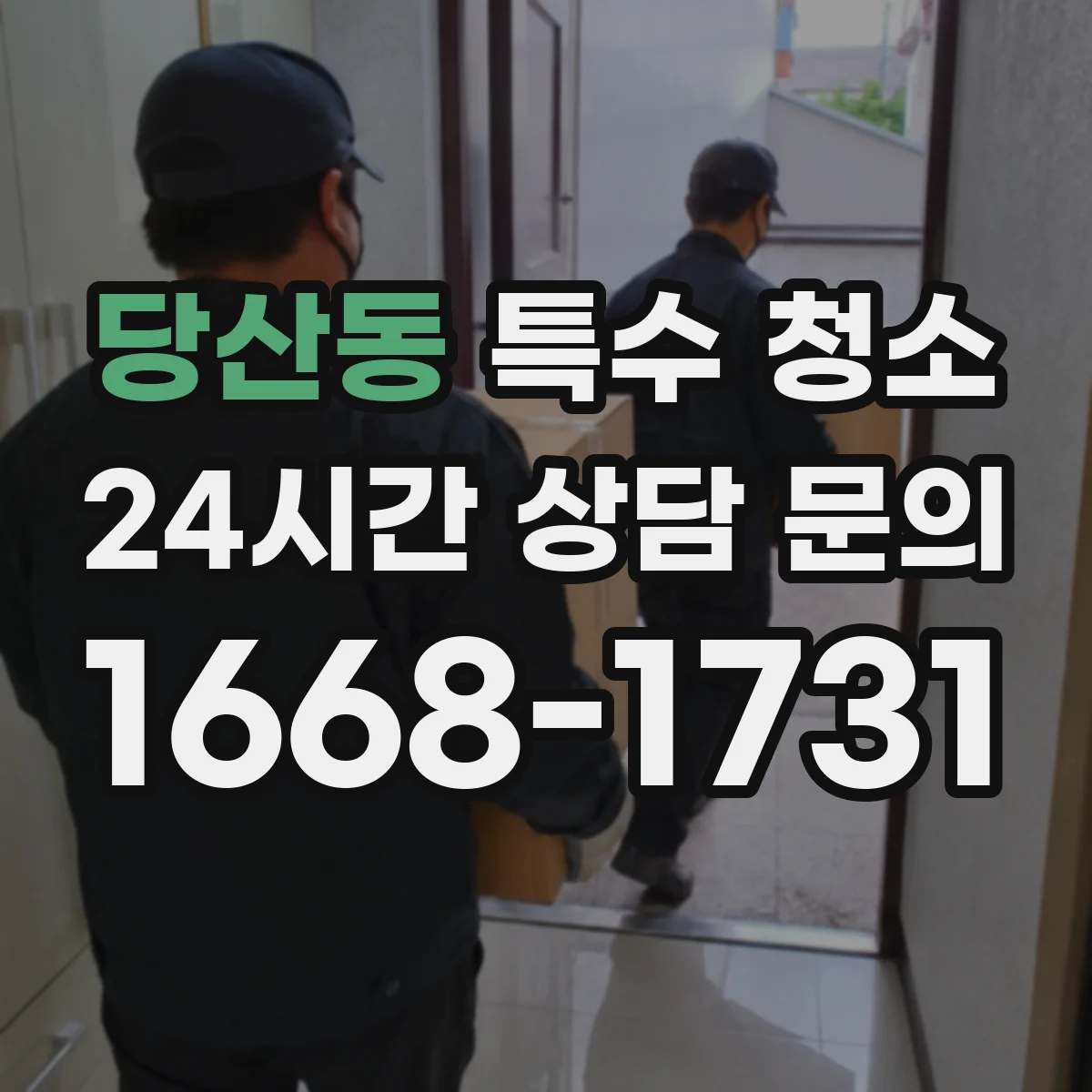 당산동 특수 청소