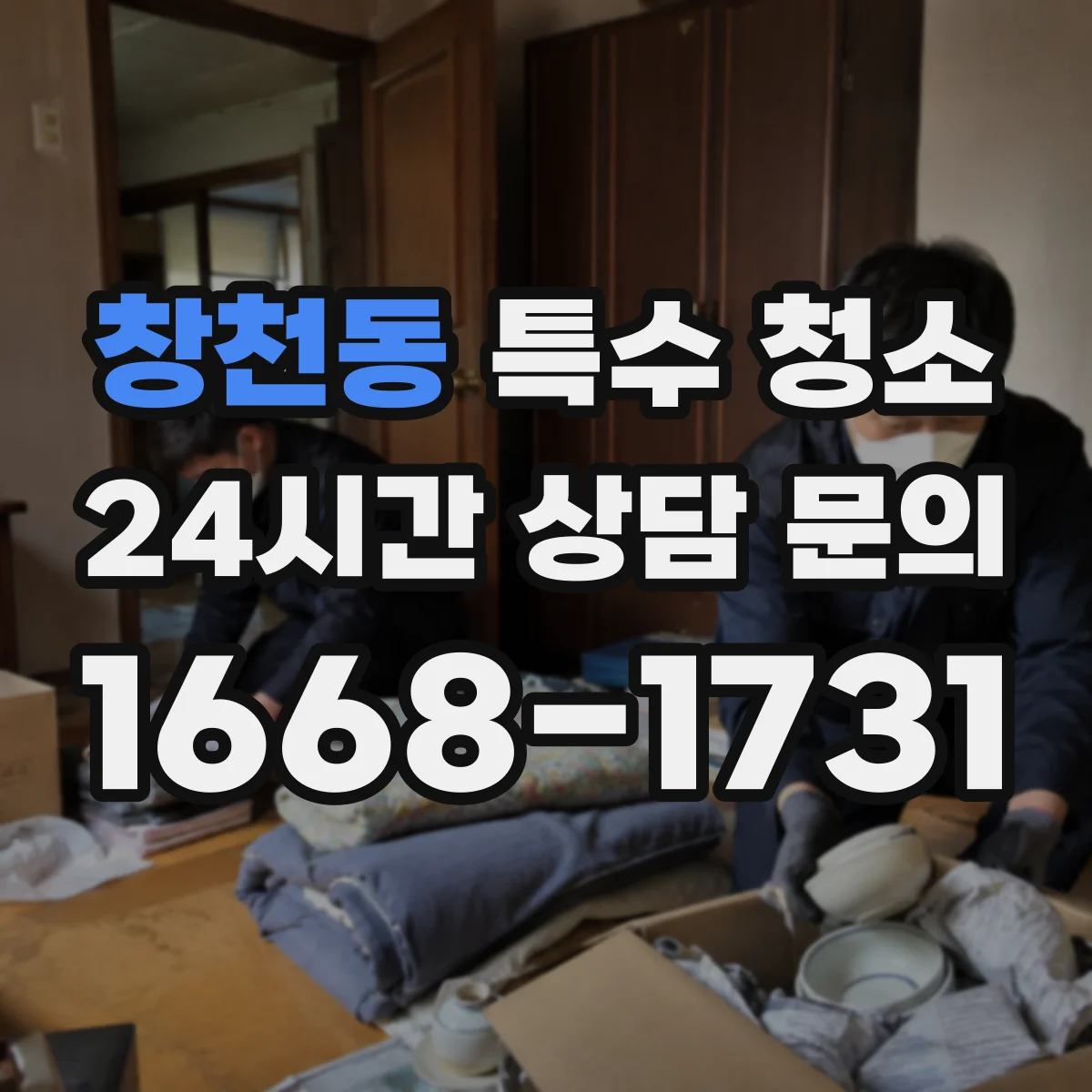 창천동 특수 청소