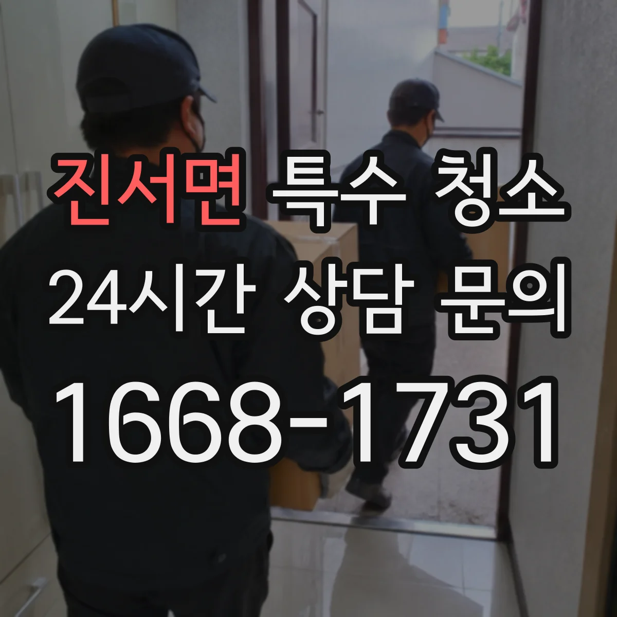 진서면 특수 청소