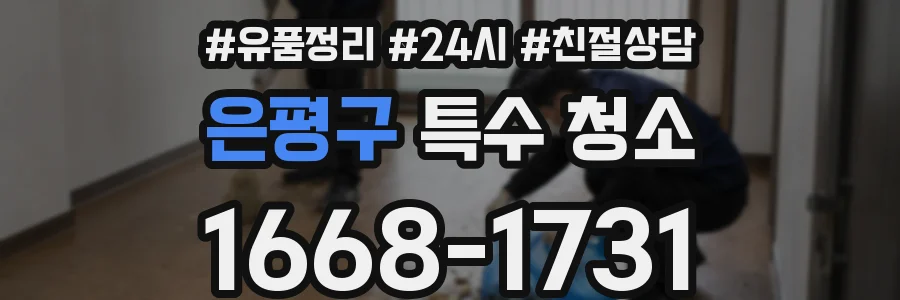 은평구 특수 청소