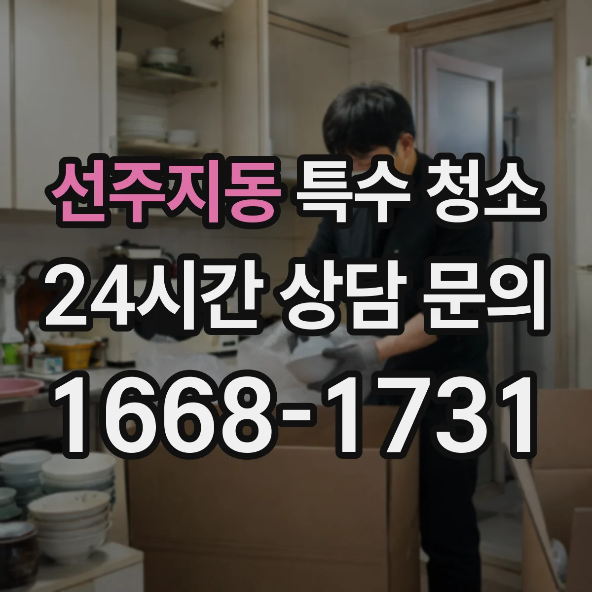 선주지동 특수 청소