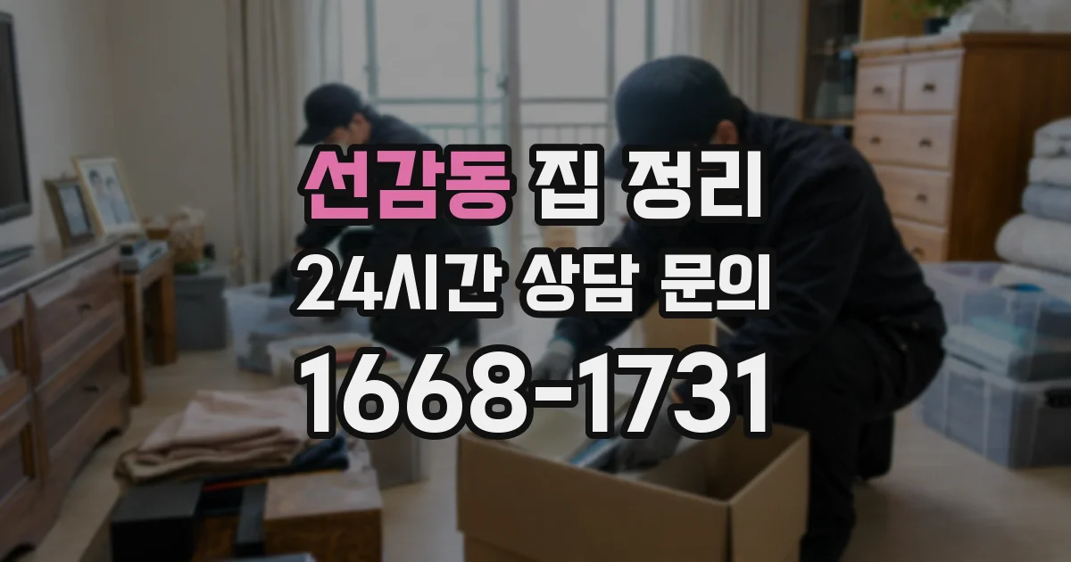 선감동 집 정리