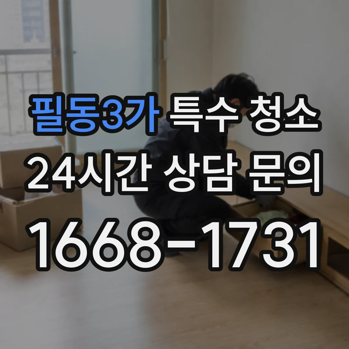 필동3가 특수 청소