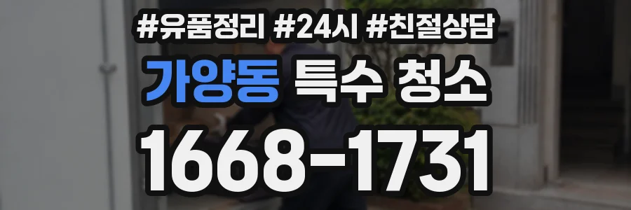 가양동 특수 청소