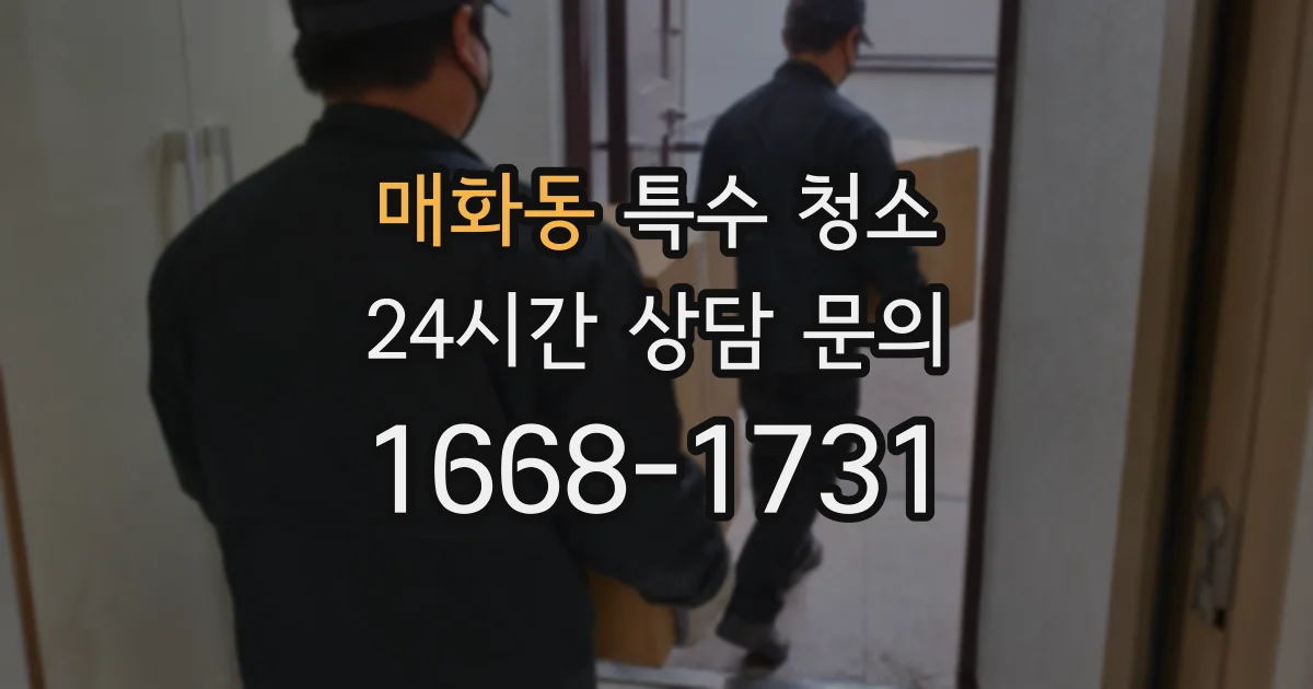 매화동 특수 청소