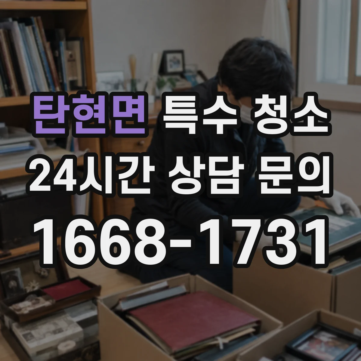 탄현면 특수 청소