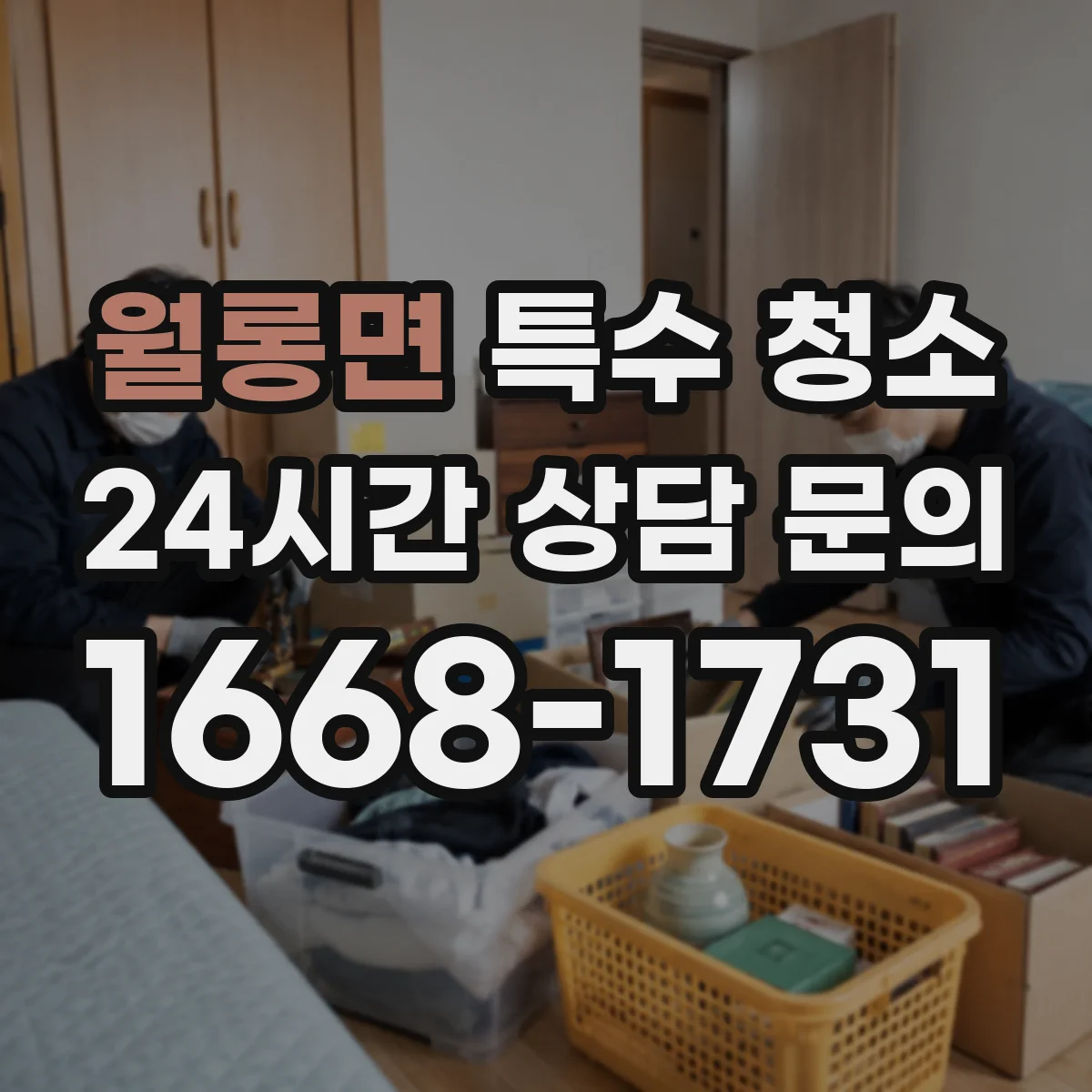 월롱면 특수 청소