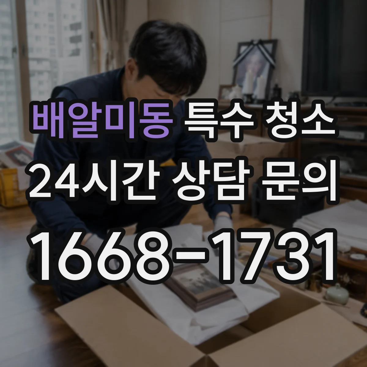 배알미동 특수 청소