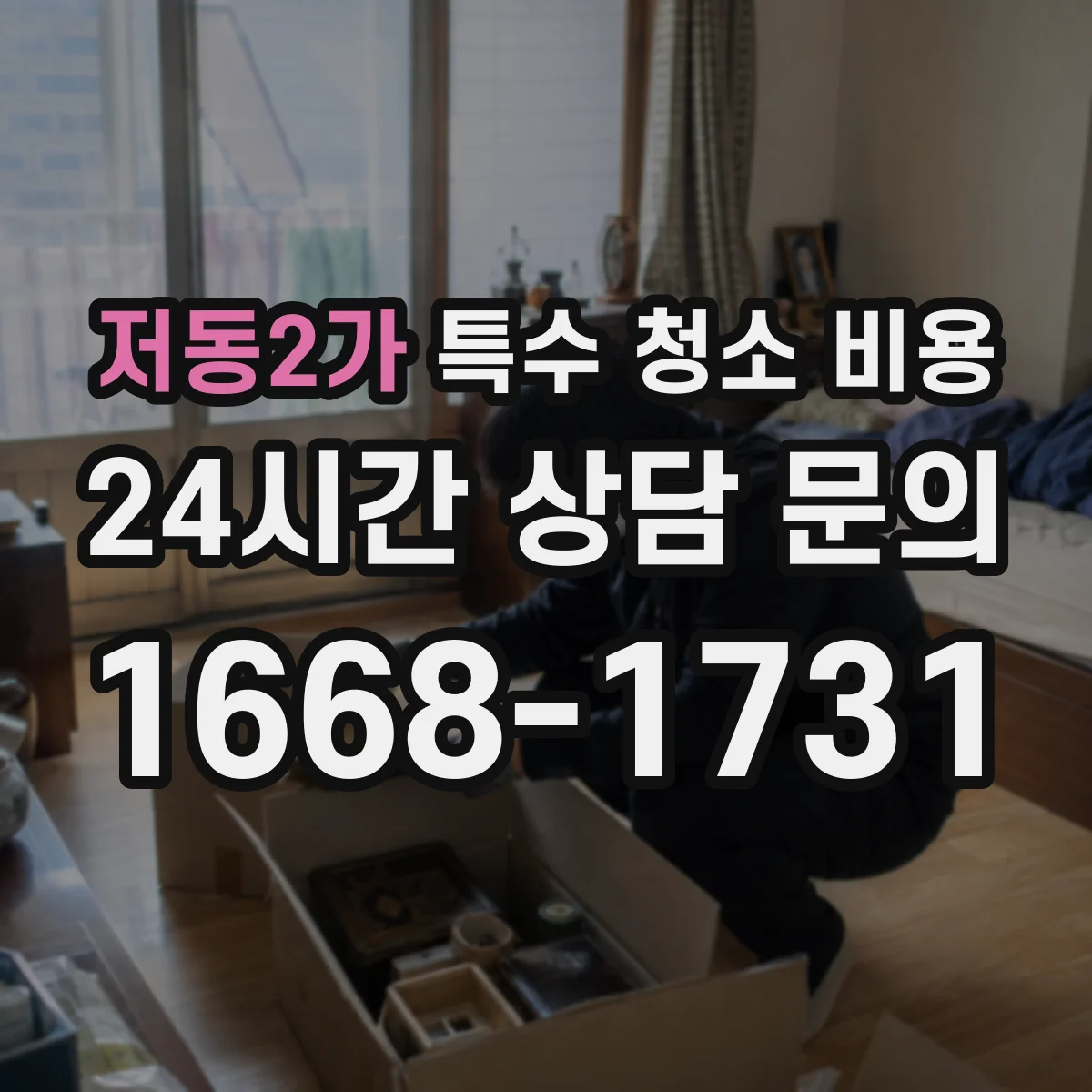 저동2가 특수 청소 비용