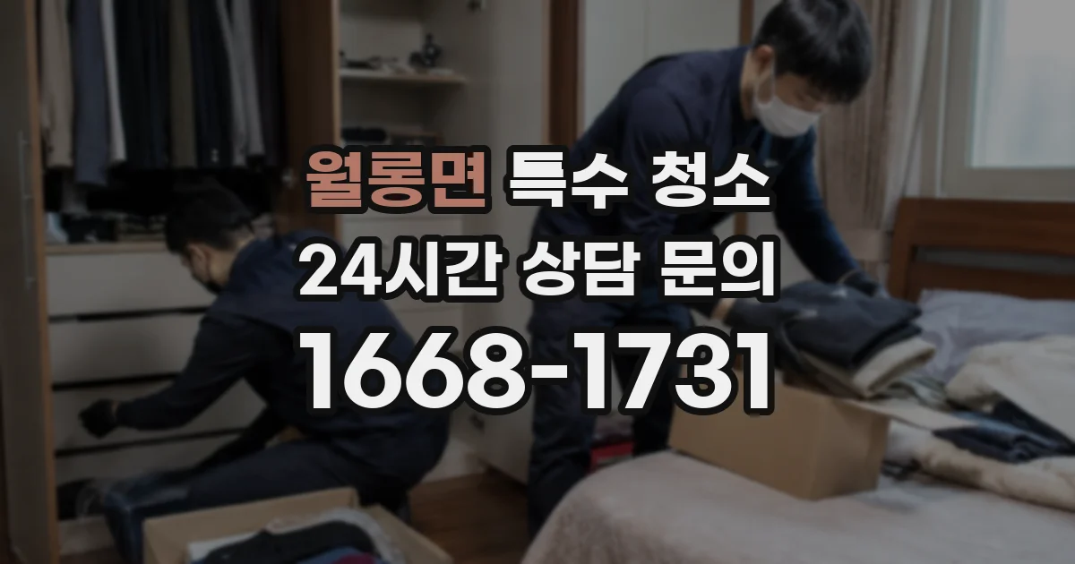 월롱면 특수 청소