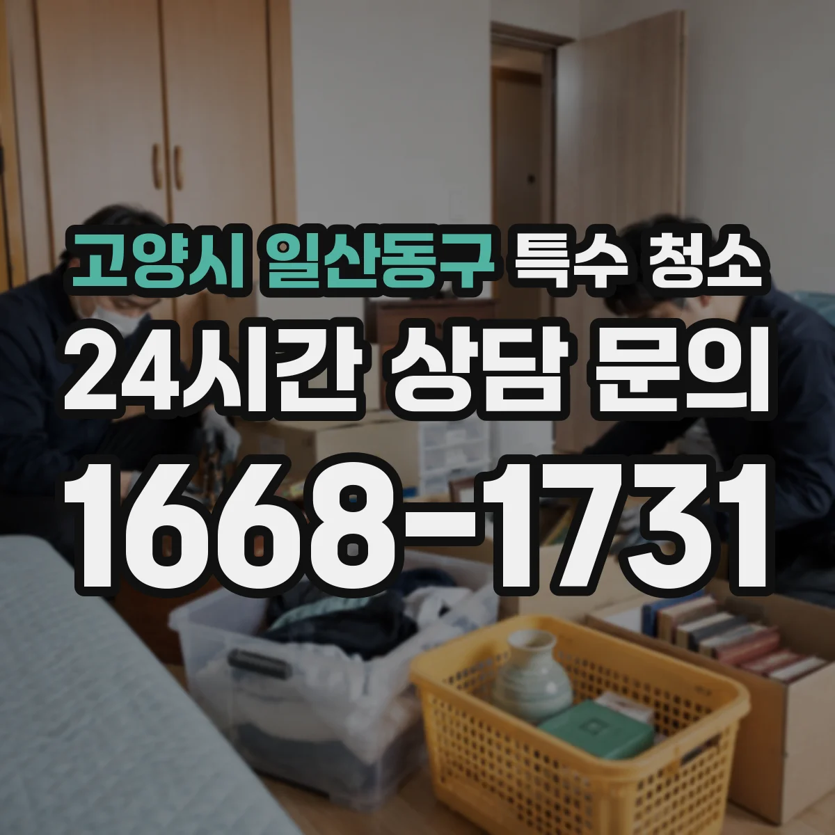 고양시 일산동구 특수 청소