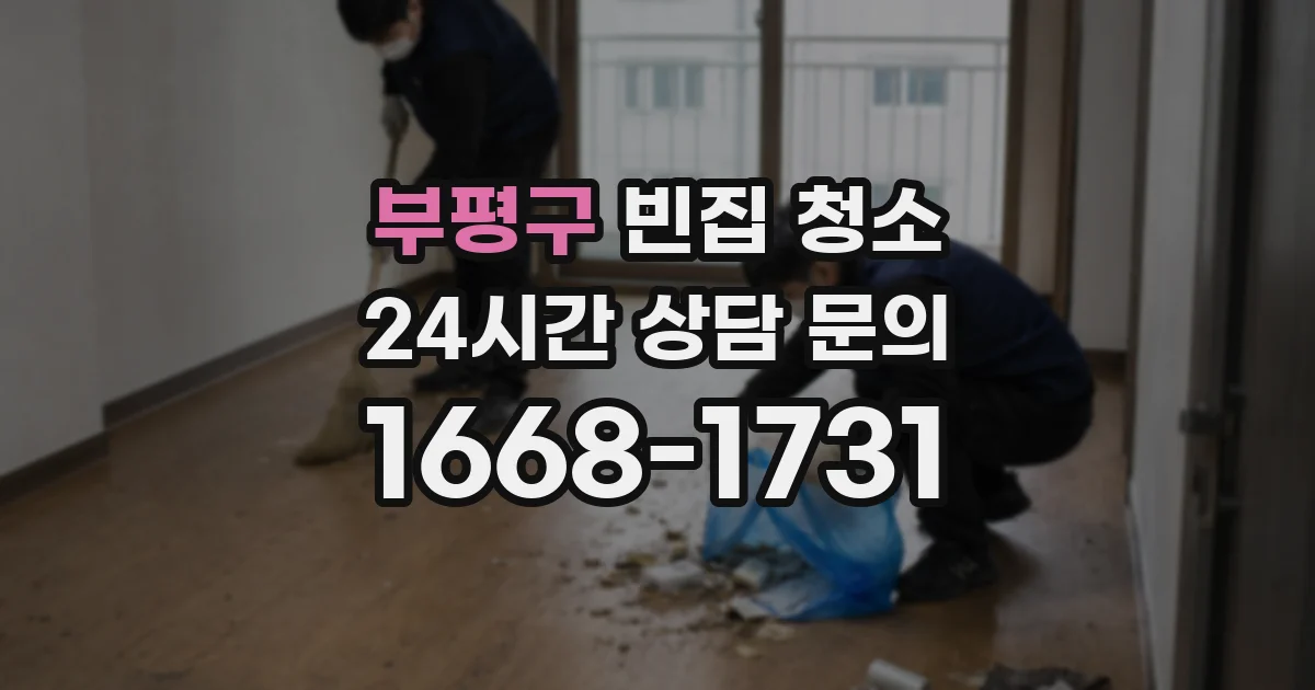 부평구 빈집 청소