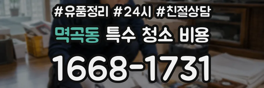 멱곡동 특수 청소 비용