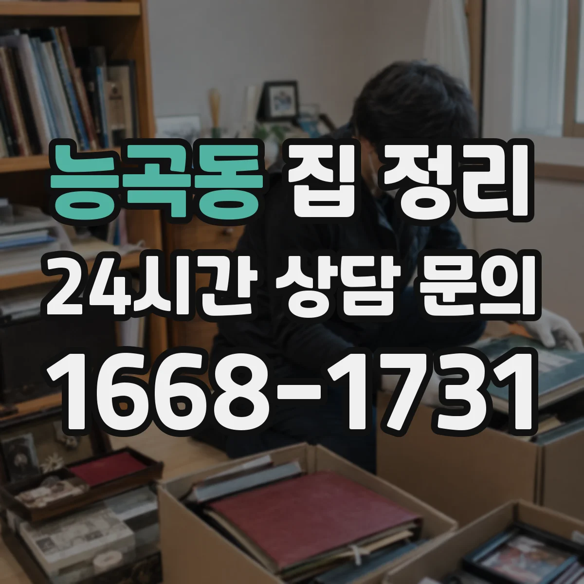능곡동 집 정리