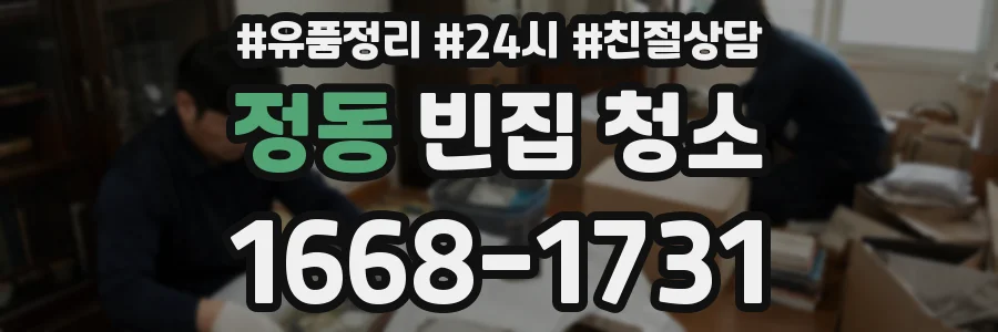 정동 빈집 청소