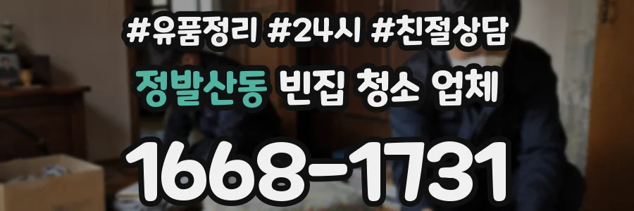 정발산동 빈집 청소 업체