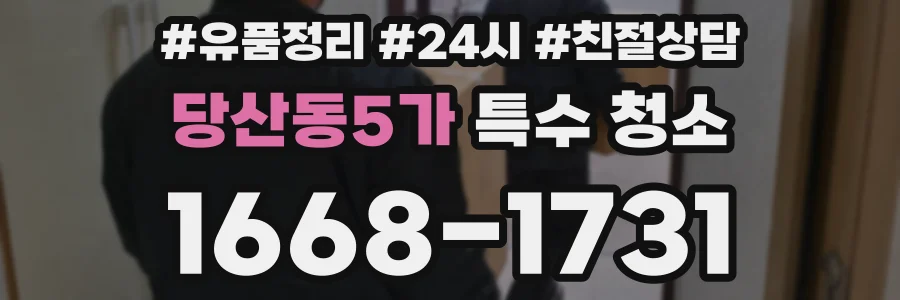 당산동5가 특수 청소