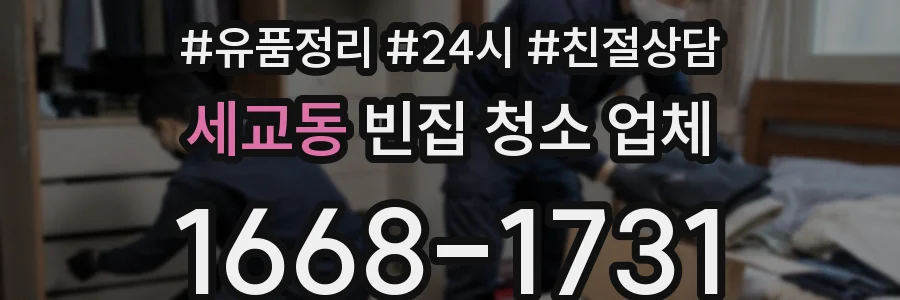 세교동 빈집 청소 업체