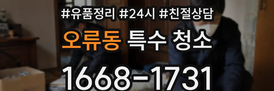 오류동 특수 청소