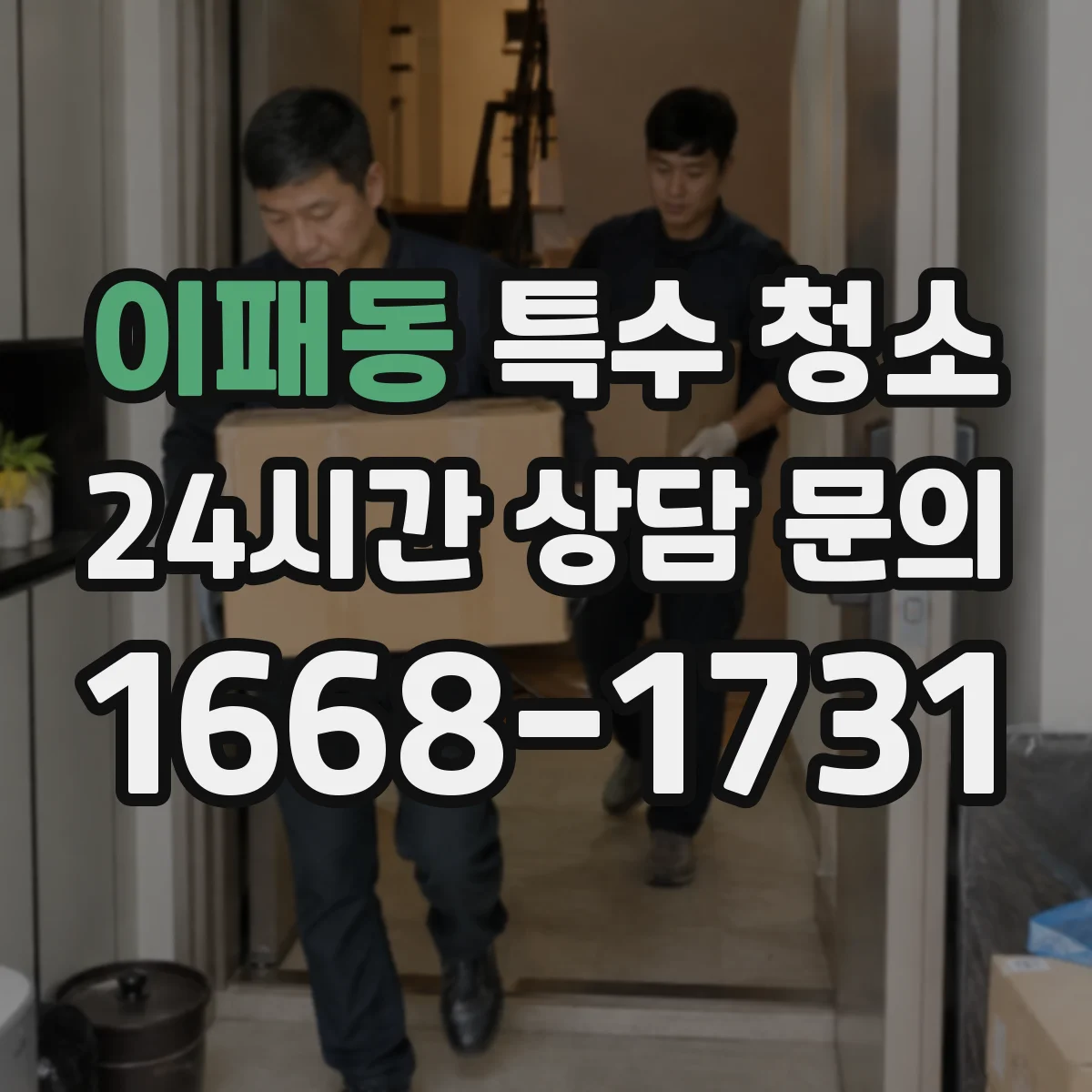 이패동 특수 청소
