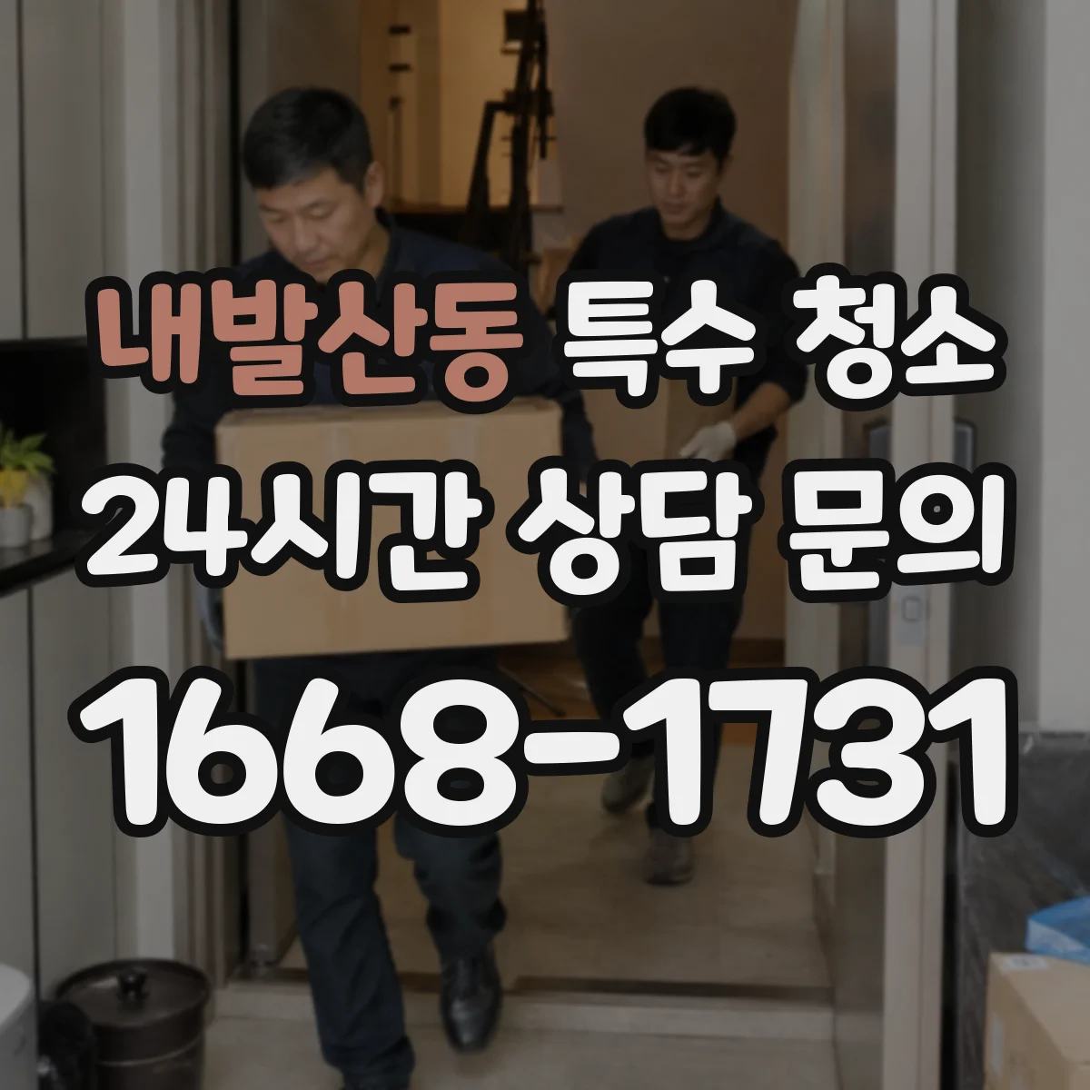 내발산동 특수 청소