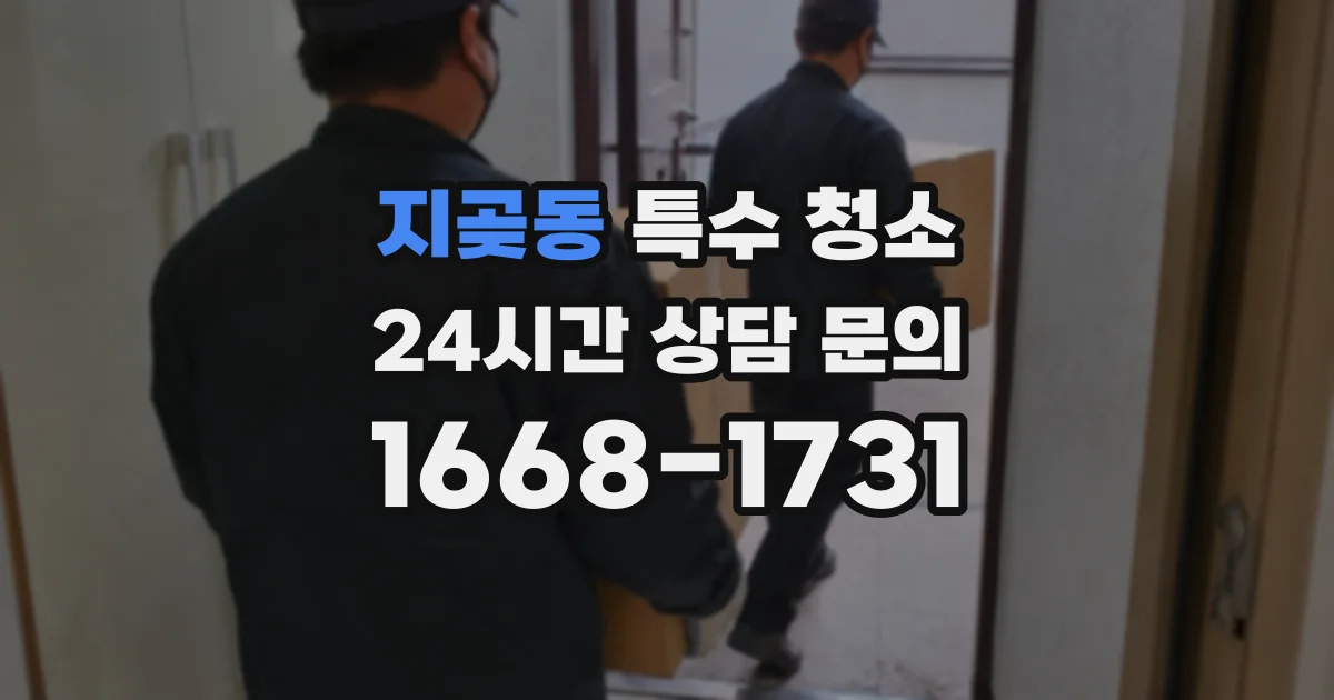 지곶동 특수 청소