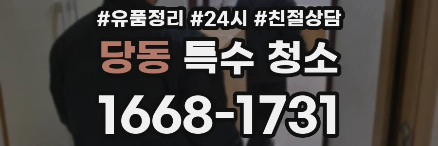 당동 특수 청소
