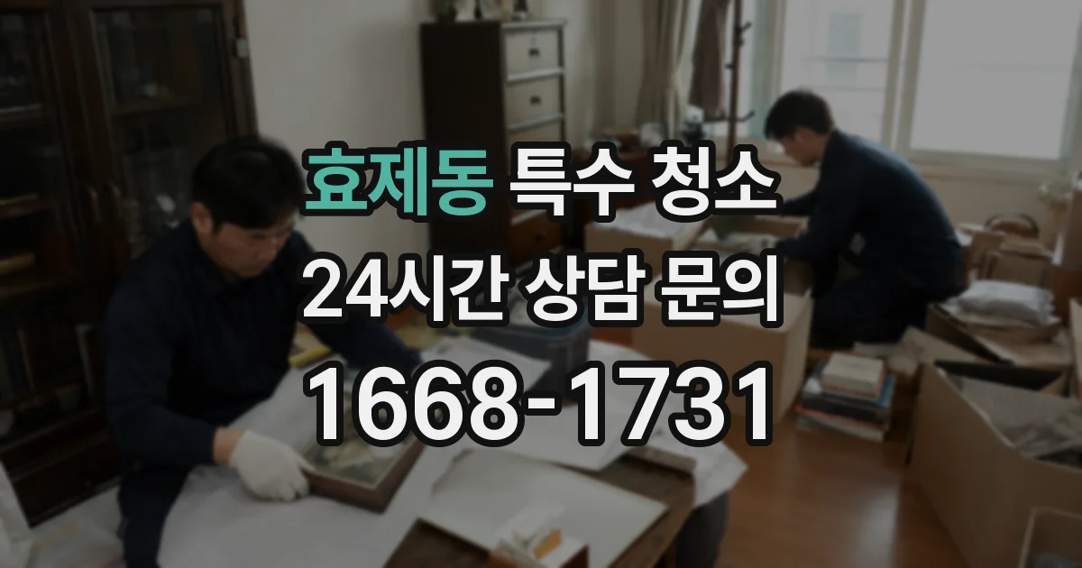 효제동 특수 청소
