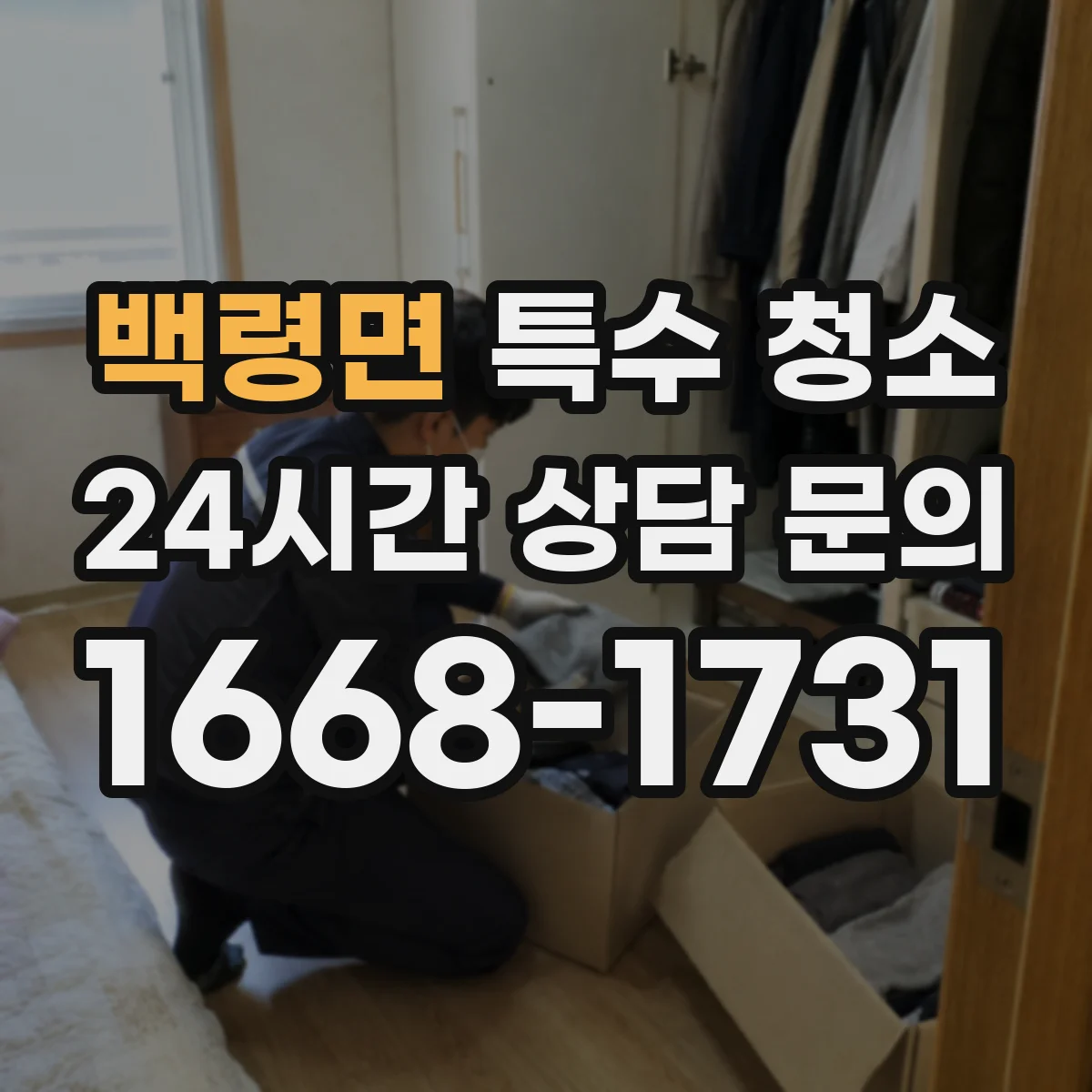 백령면 특수 청소