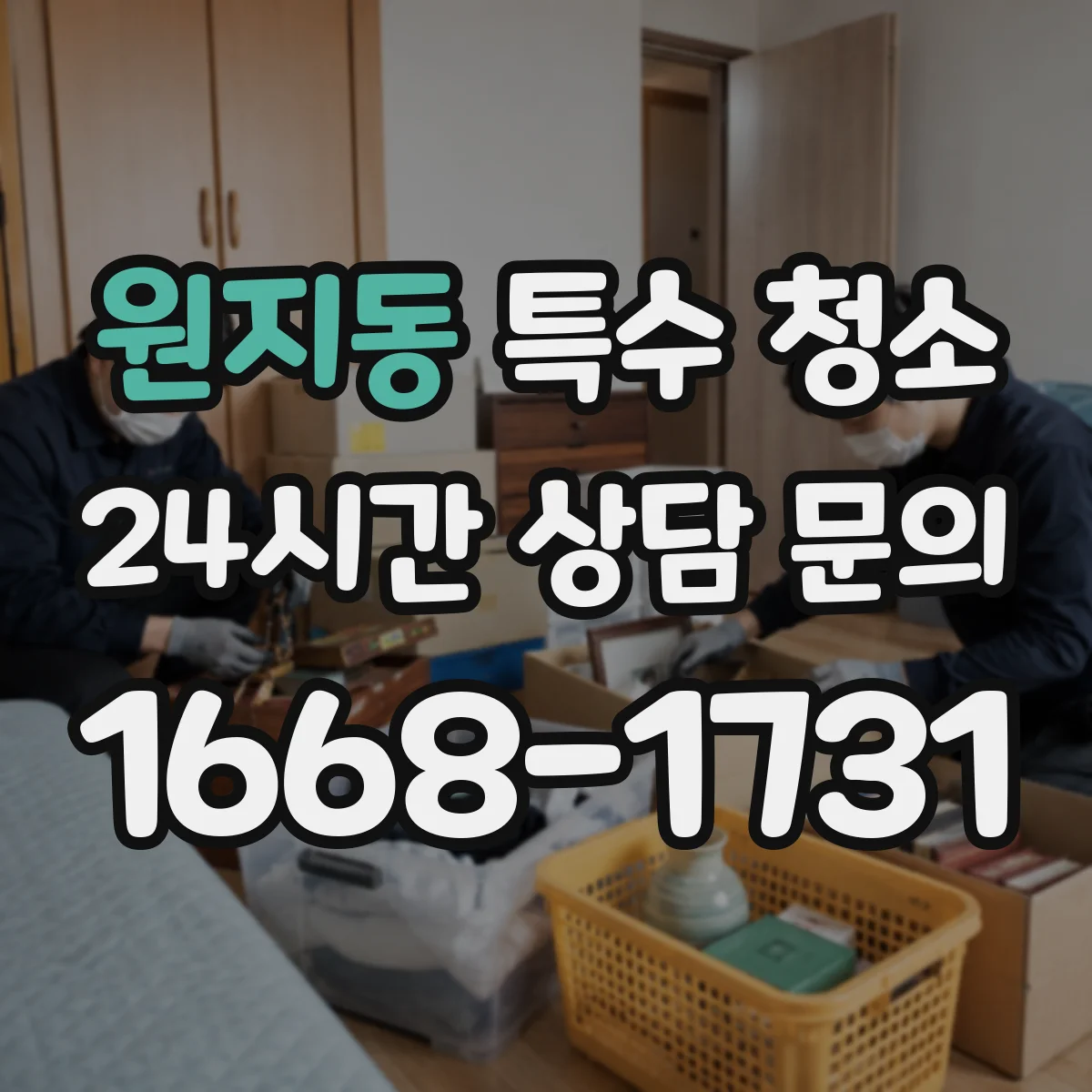 원지동 특수 청소
