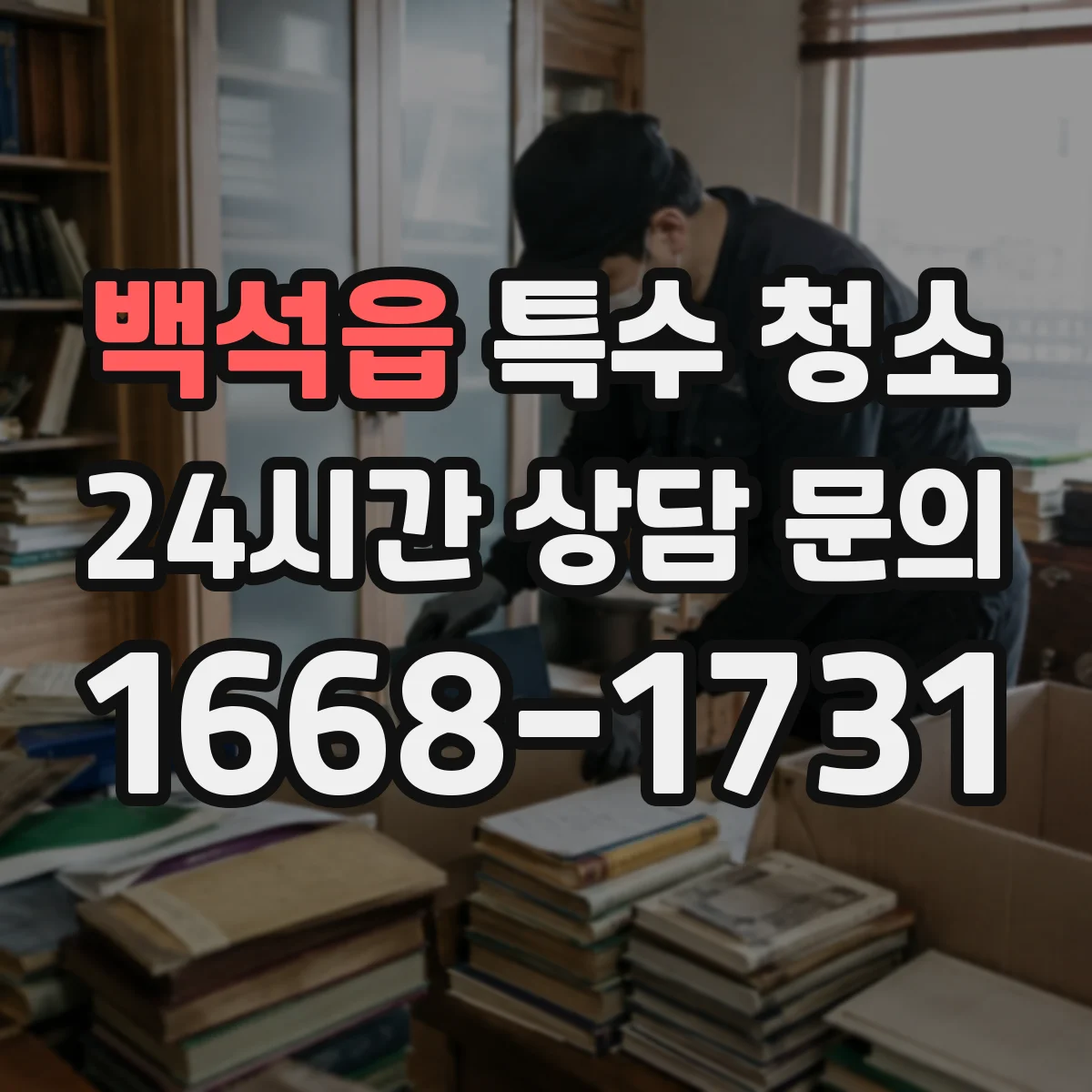 백석읍 특수 청소