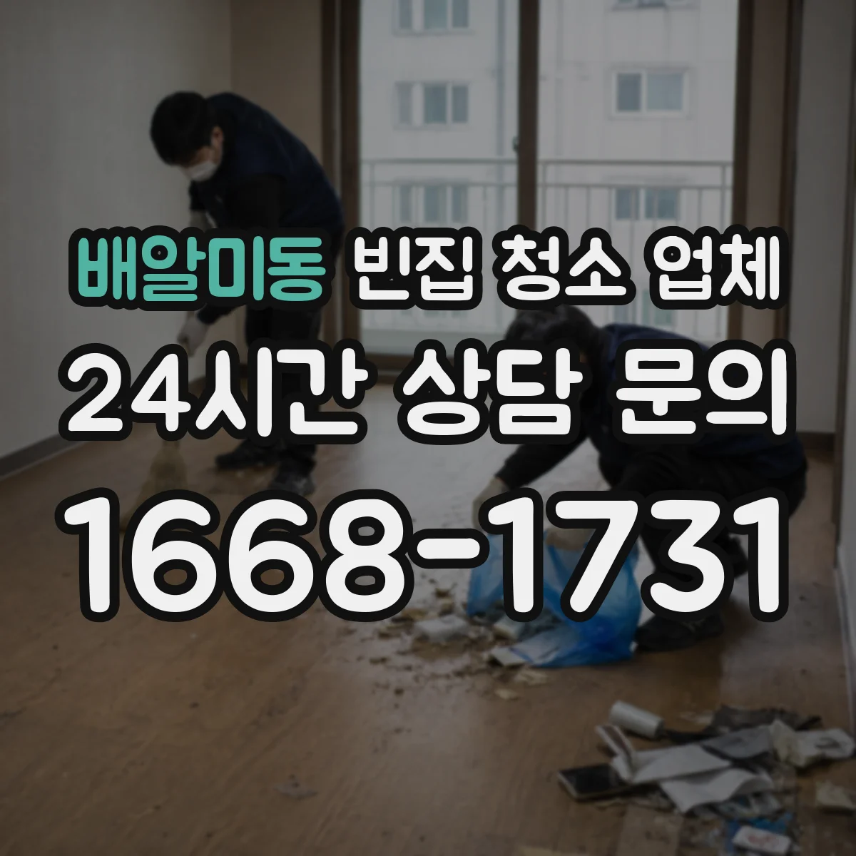 배알미동 빈집 청소 업체