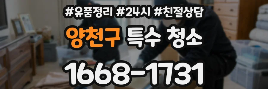 양천구 특수 청소