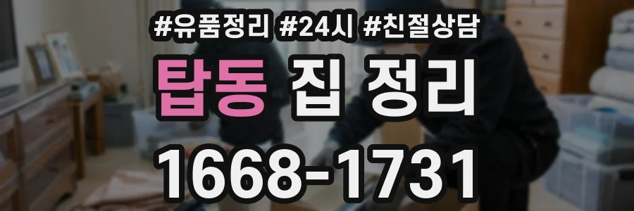 탑동 집 정리
