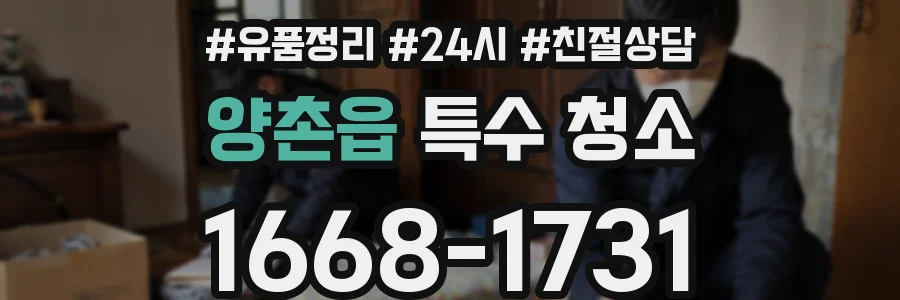 양촌읍 특수 청소