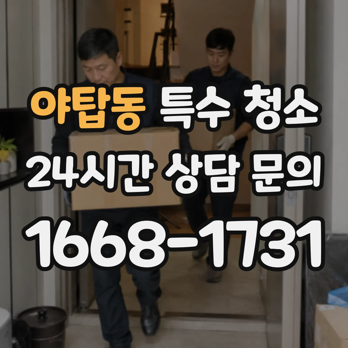 야탑동 특수 청소