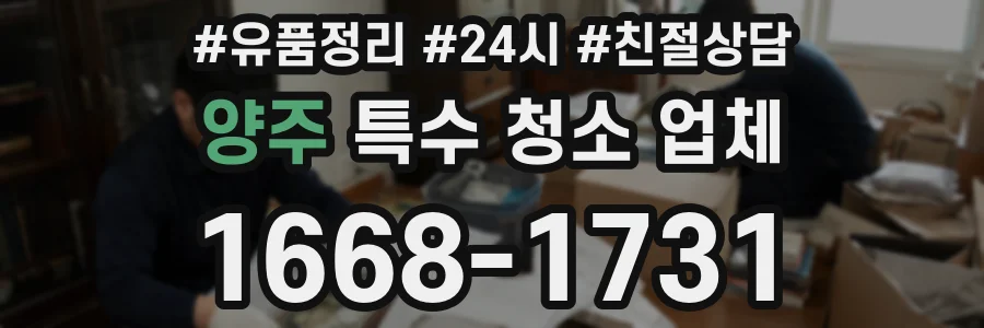 양주 특수 청소 업체