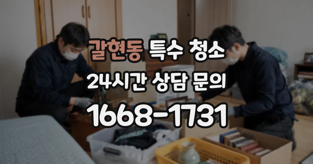 갈현동 특수 청소