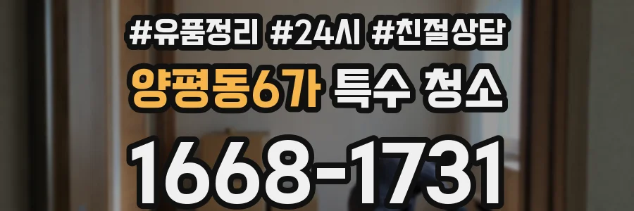 양평동6가 특수 청소