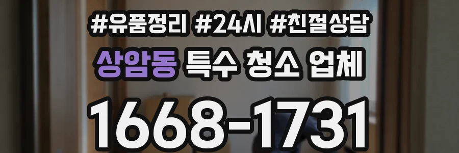 상암동 특수 청소 업체