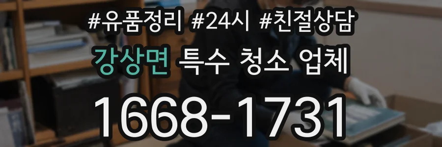 강상면 특수 청소 업체
