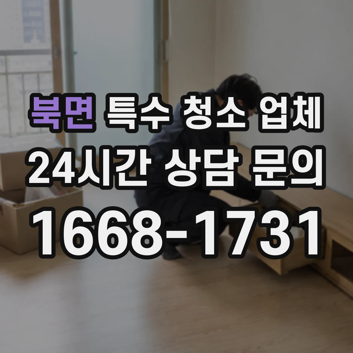 북면 특수 청소 업체
