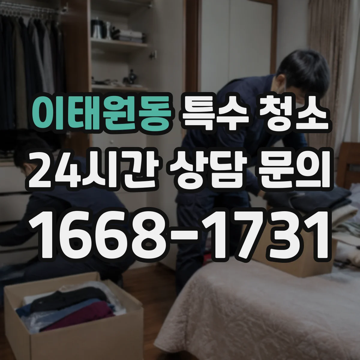 이태원동 특수 청소