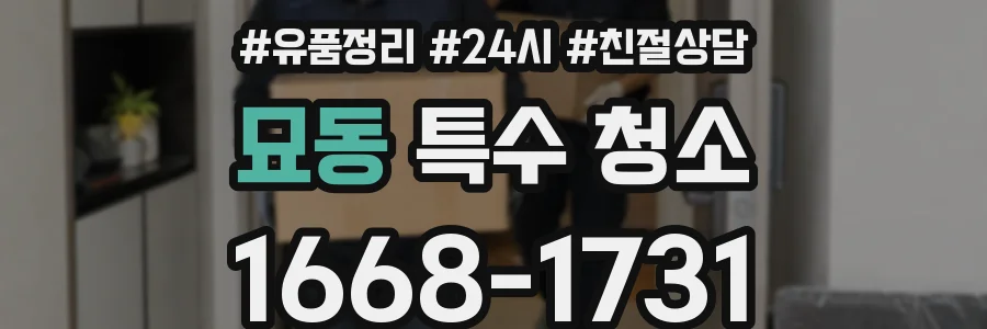 묘동 특수 청소