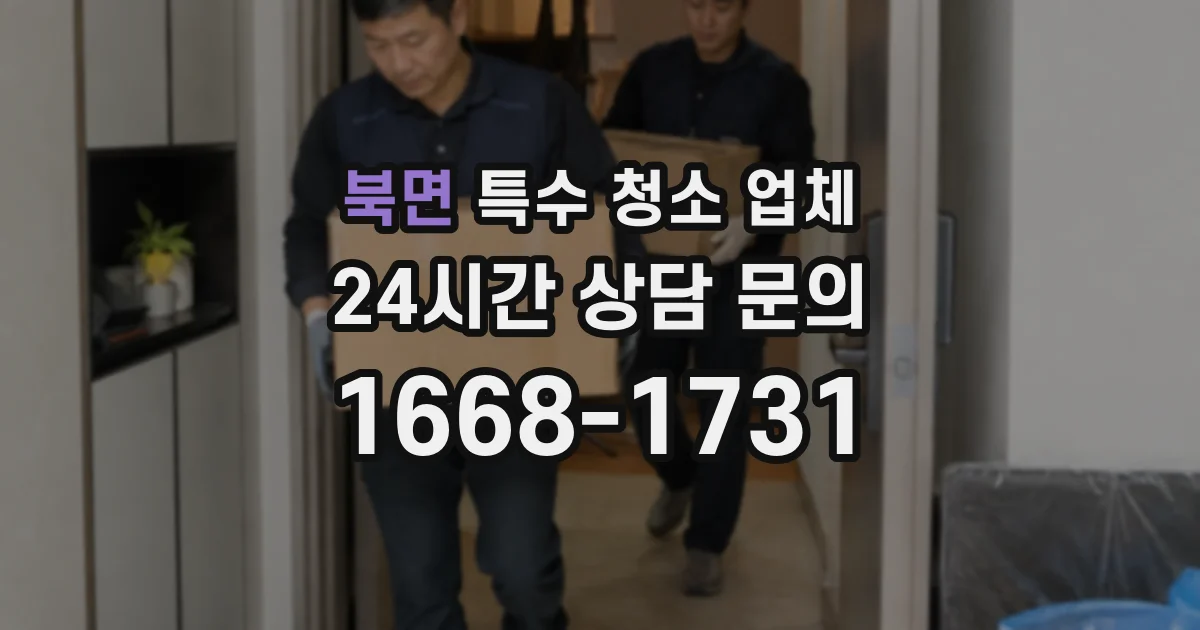 북면 특수 청소 업체