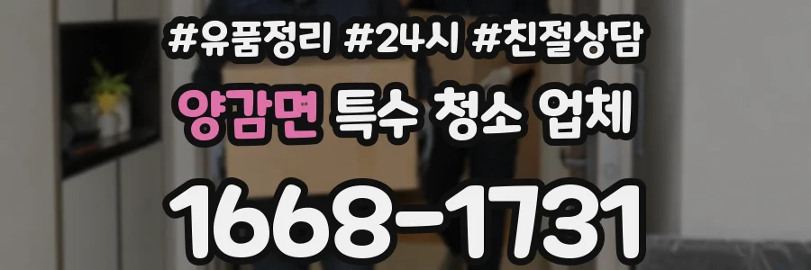 양감면 특수 청소 업체
