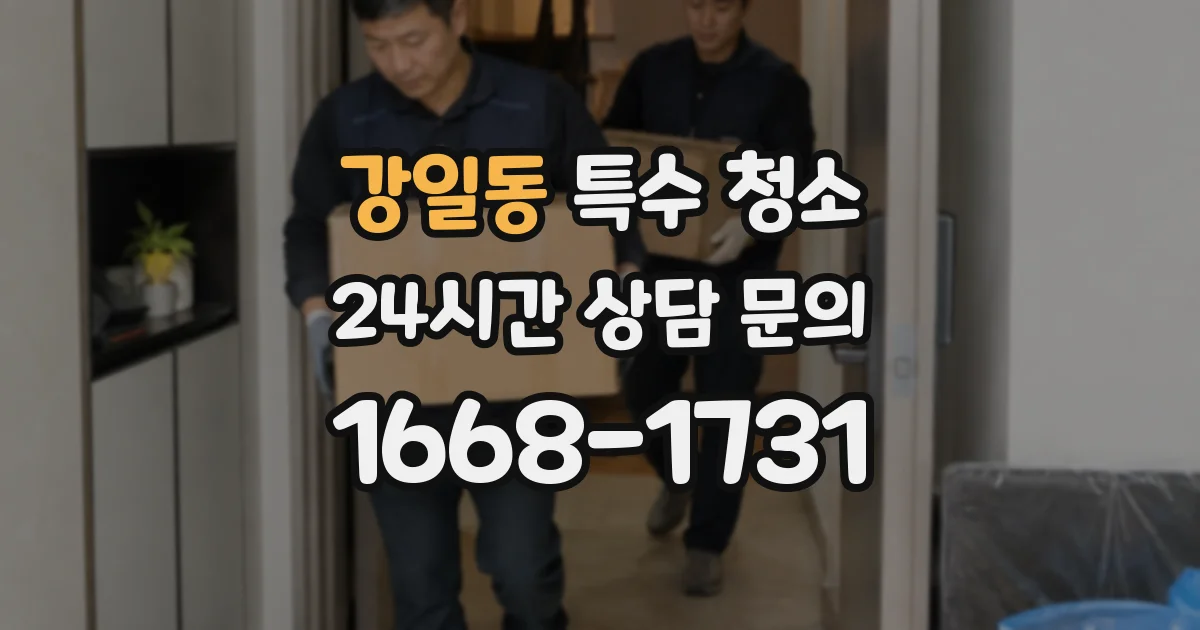 강일동 특수 청소