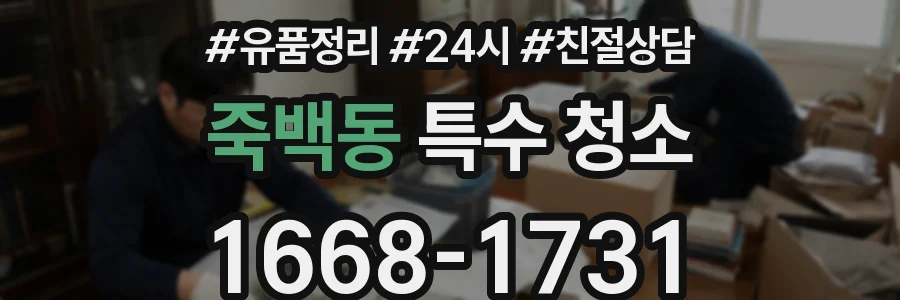 죽백동 특수 청소