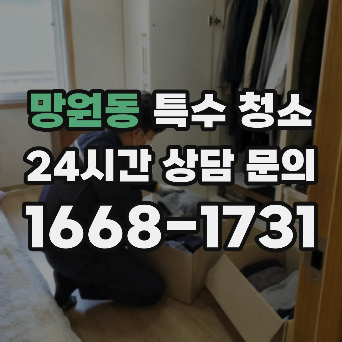 망원동 특수 청소